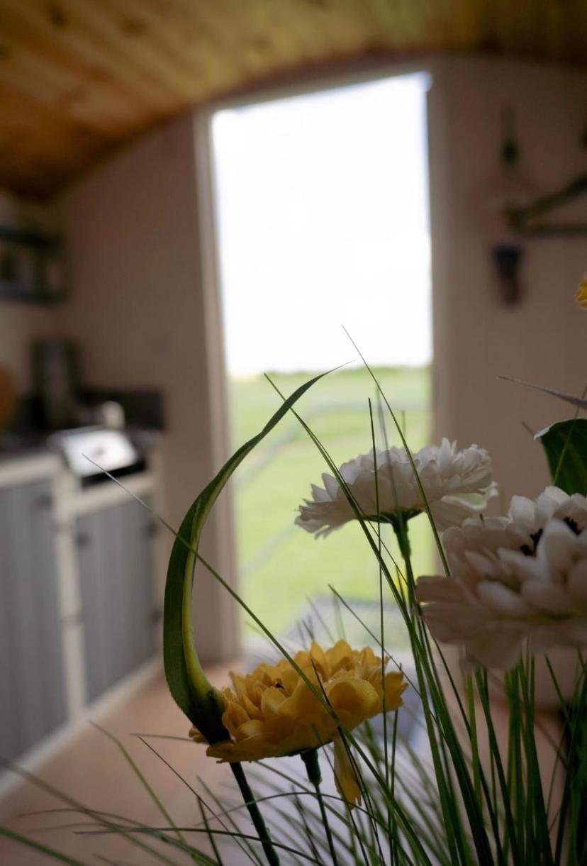 Maple Hut Four Acre Farm Otel Aylsham Dış mekan fotoğraf